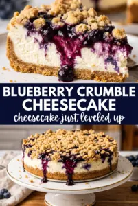 Blueberry Crumble Cheesecake