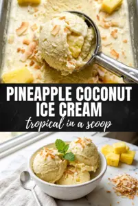 Pineapple Coconut Ice Cream