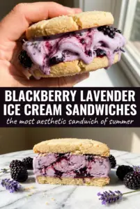 Blackberry Lavender Ice Cream Sandwiches