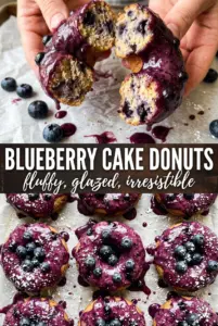 Blueberry Cake Donuts