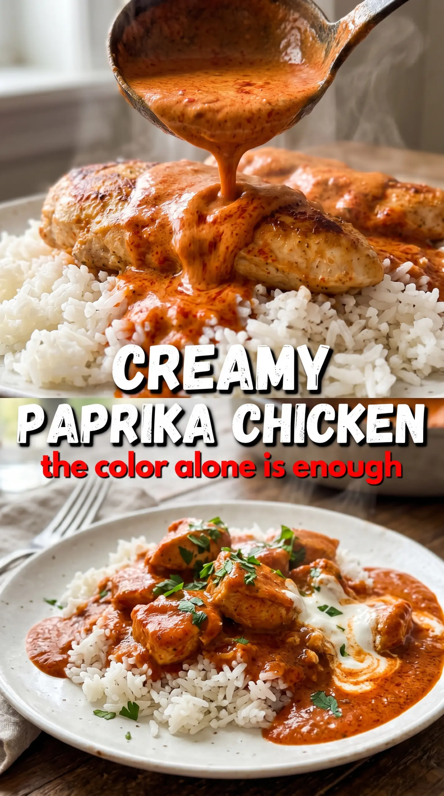 Creamy Paprika Chicken with Rice paprika sauce chicken dinner