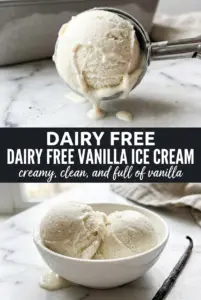 Dairy Free Vanilla Ice Cream