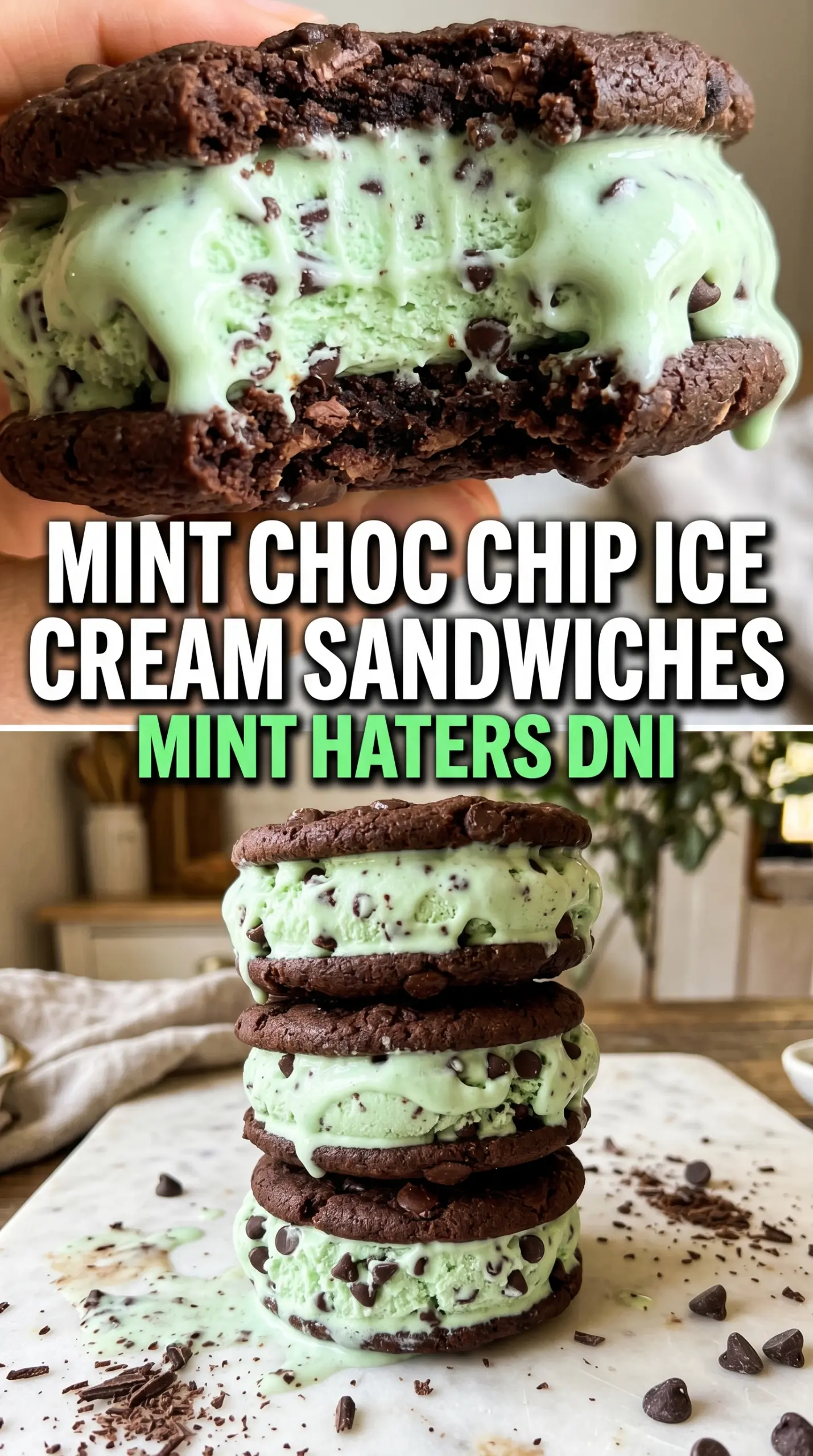 Mint chocolate chip ice cream sandwiches, chocolate peppermint, frozen treat
