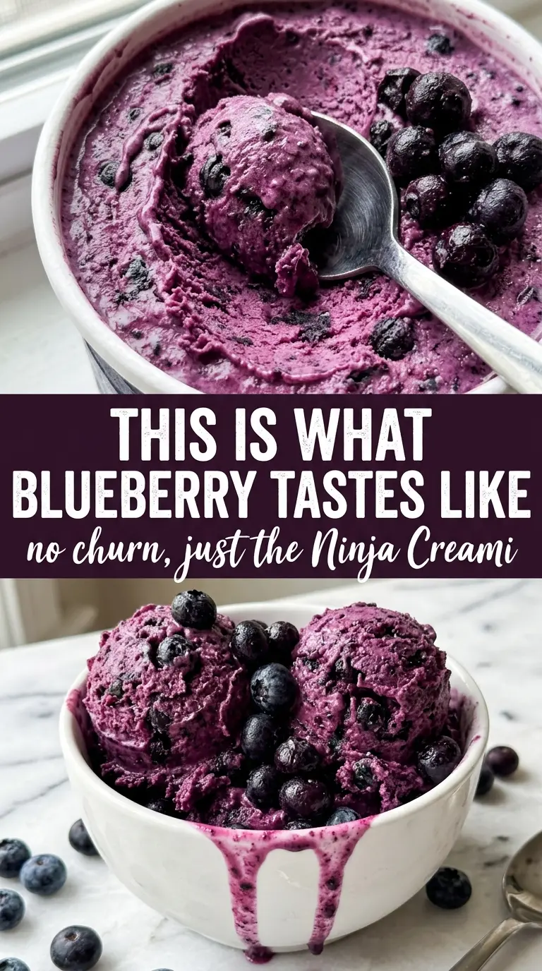 Ninja Creami blueberry ice cream vivid creamy
