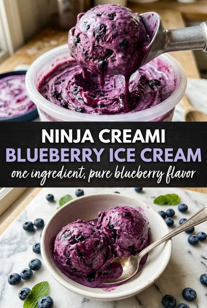 Ninja Creami Blueberry Ice Cream