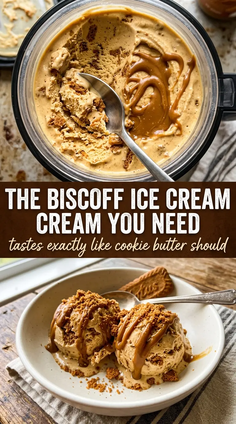 Ninja Creami Cookie Butter Ice Cream smooth spiced
