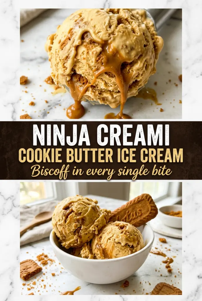 Ninja Creami Cookie Butter Ice Cream