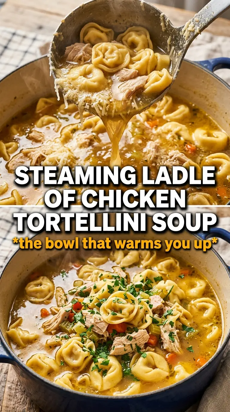 Chicken Tortellini Soup, cheesy herb broth